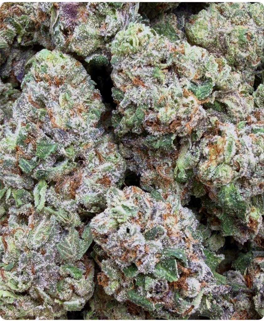 strawberry gelato: 32.11% FLOWER